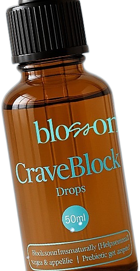 CraveBlocks